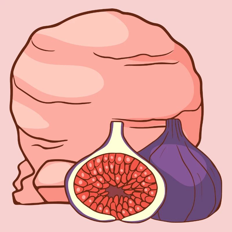 Feigenfrucht Eis Speiseeis Eiskrem Eiscreme