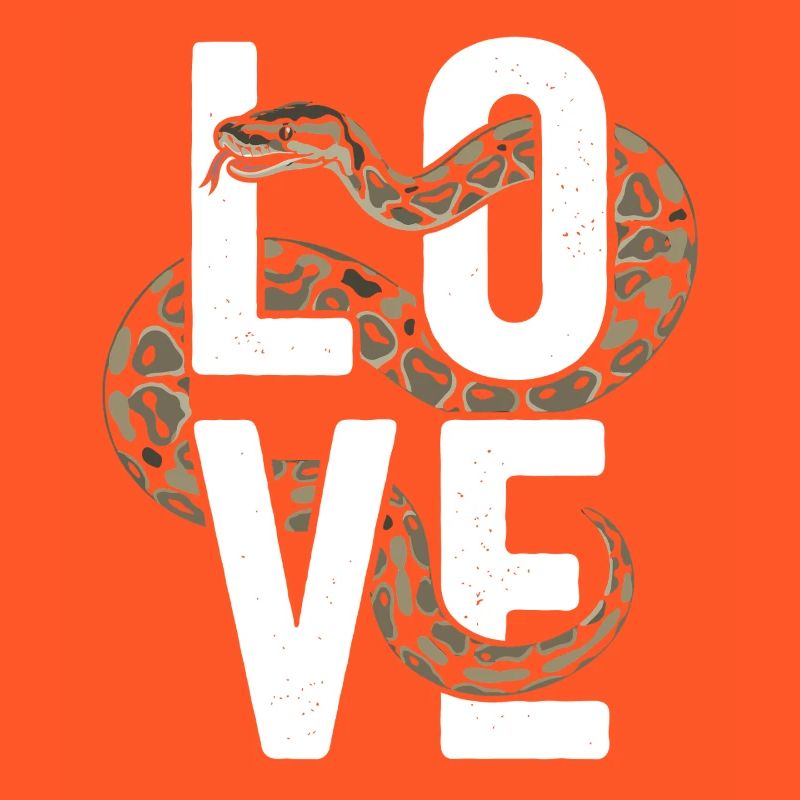 Königspython Schlangen LOVE Terrarium Python