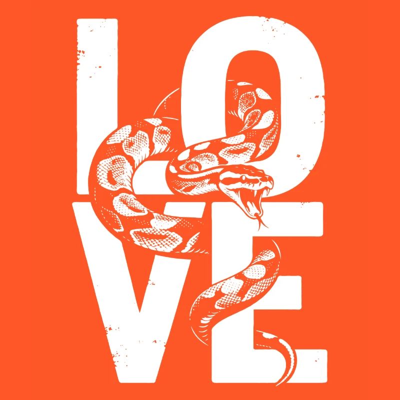 Königspython Schlangen LOVE Terrarium Python