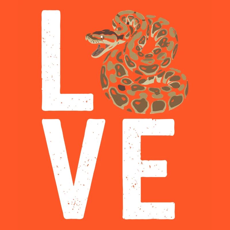Königspython Schlangen LOVE Terrarium Python