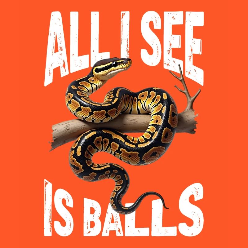 Python roi Serpents Amateurs de terrarium Python