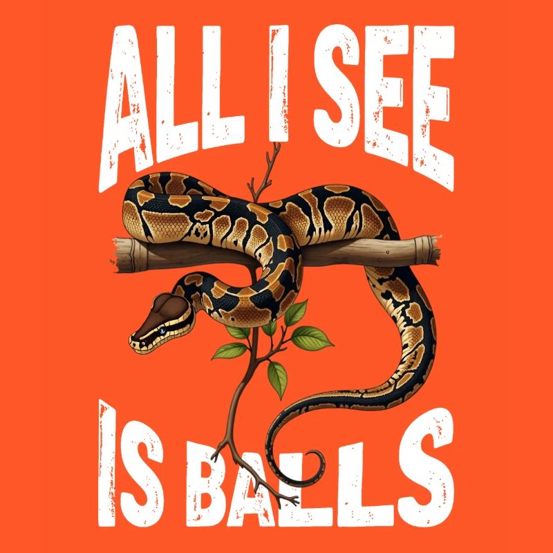 Python roi Serpents Amateurs de terrarium Python