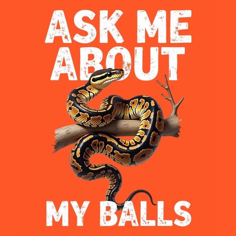 Python roi Serpents Amateurs de terrarium Python