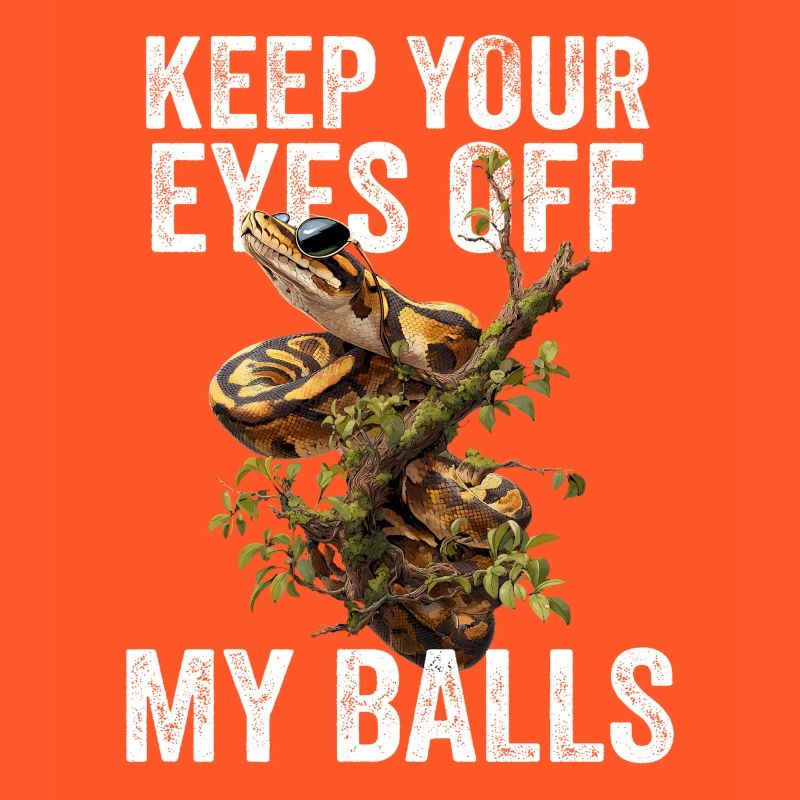 Python roi Serpents Amateurs de terrarium Python