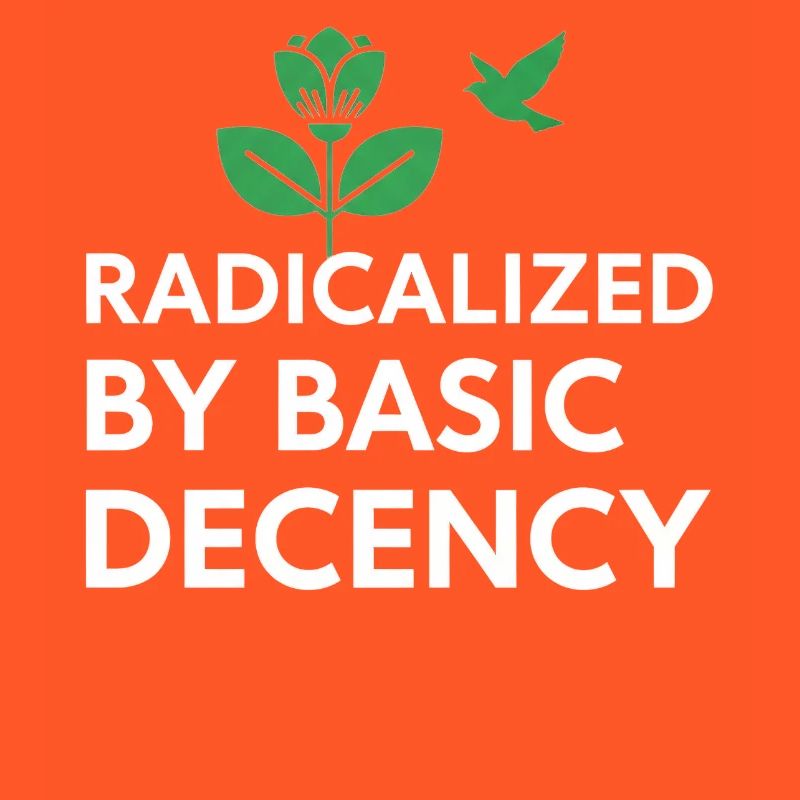 Radicalized By Basic Decency Statement shirt decal