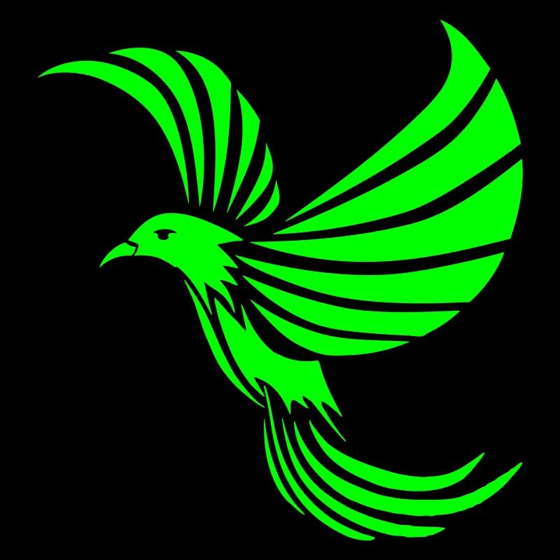 Phoenix by Dk