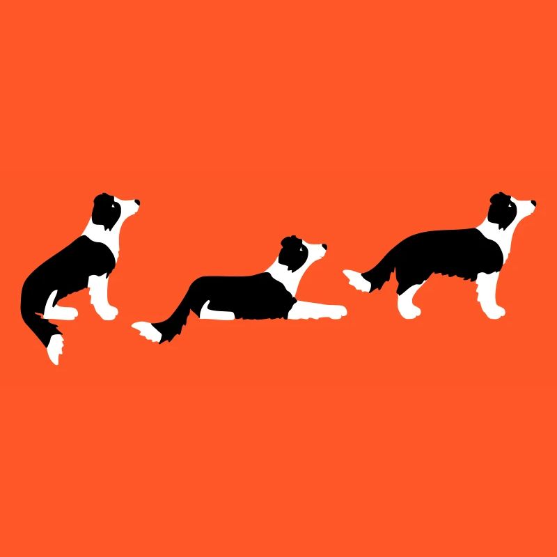 Sitz Platz Steh Border Collie Vektor
