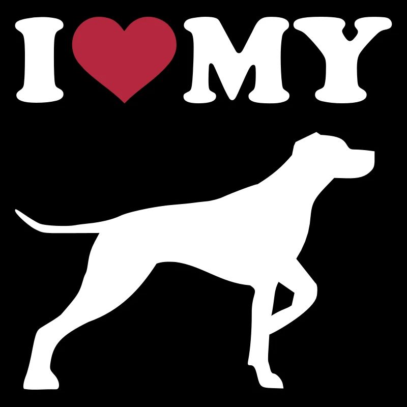 German Shorthaired Pointer