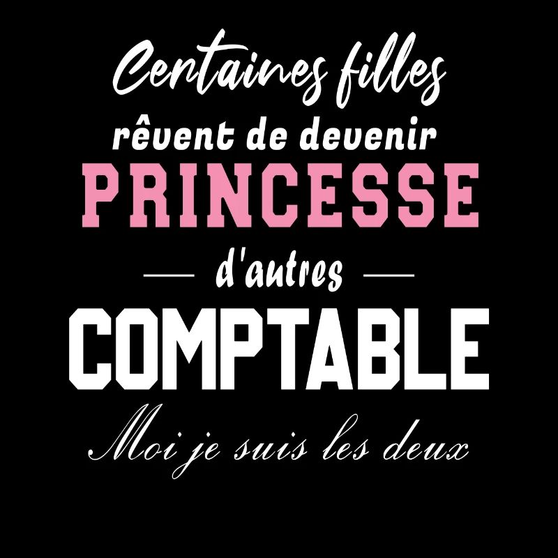 Princesse comptable