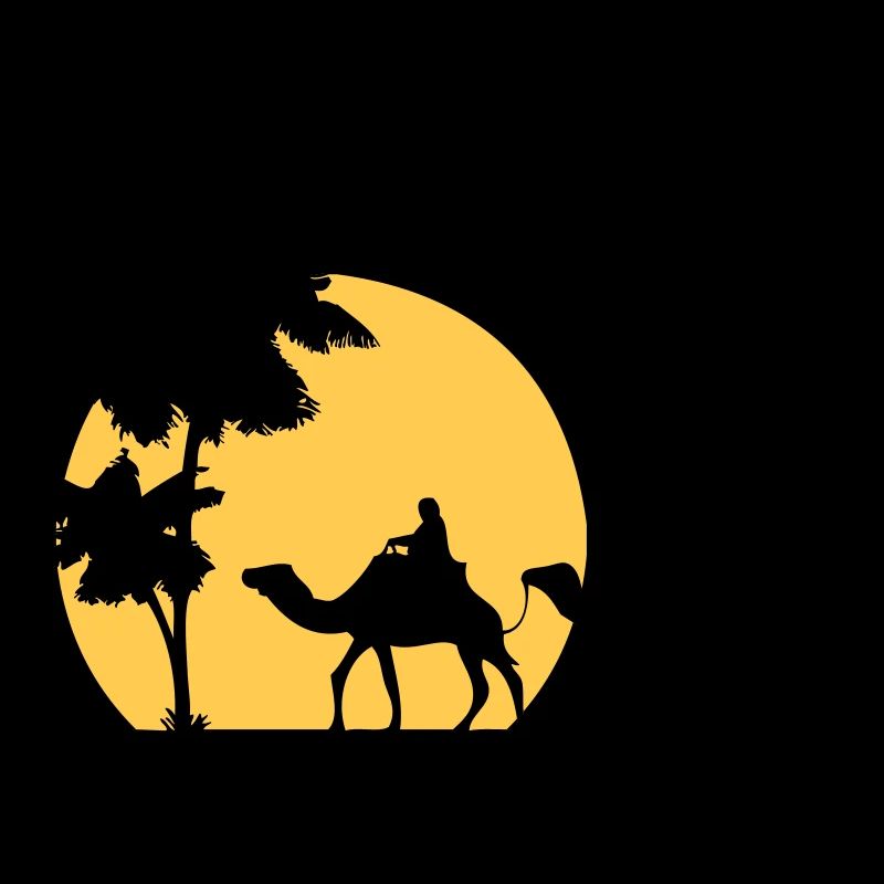 Camel - Kamel - Dromedar - Karawane