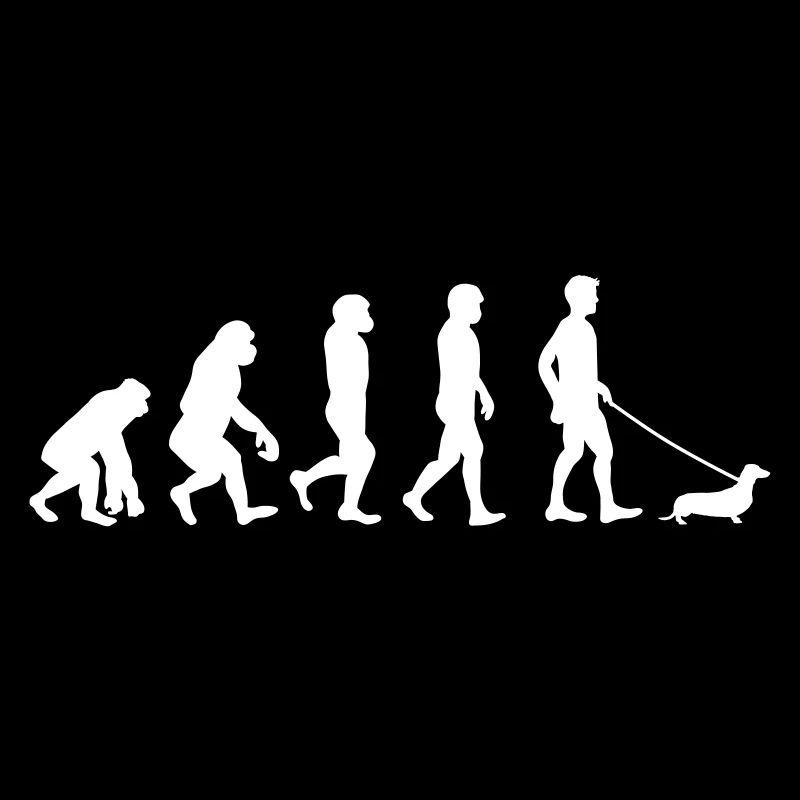 Dackel - Evolution