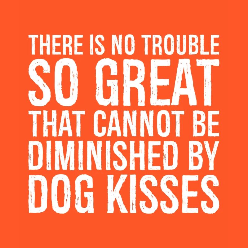 there is not trouble so great that cannot be di