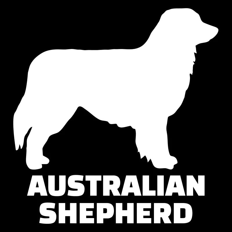 Australian Shepherd