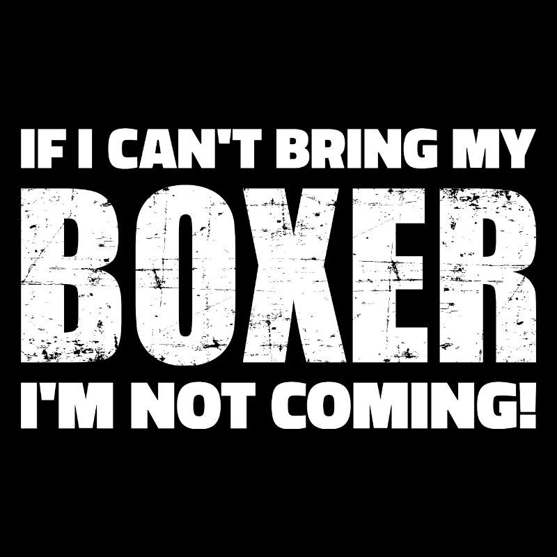 Boxer