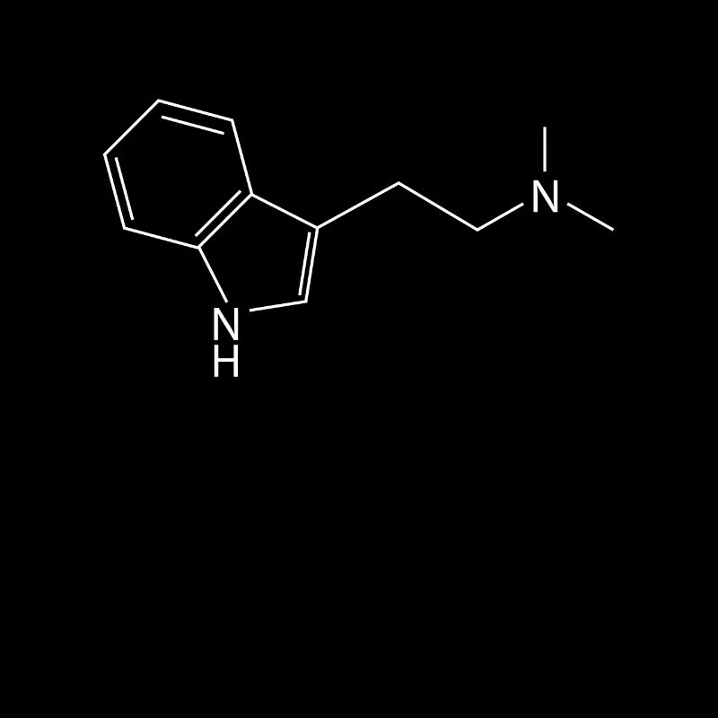 DMT molecule Ayahuasca Dimethyltryptamine