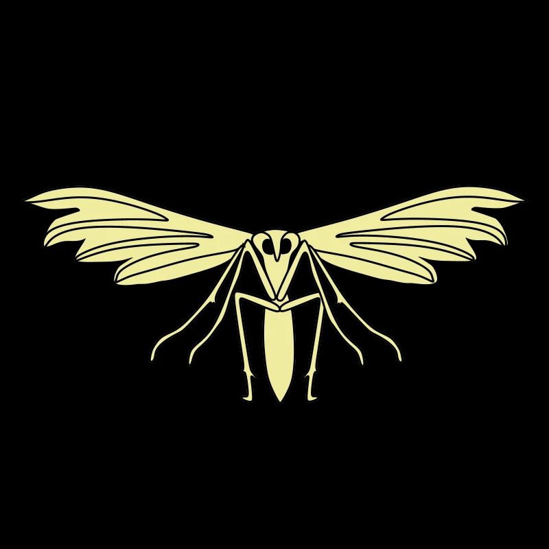 Feather moth