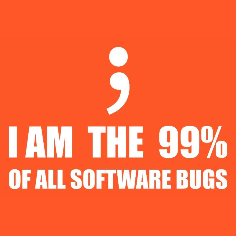 Informatiker, Programmierer