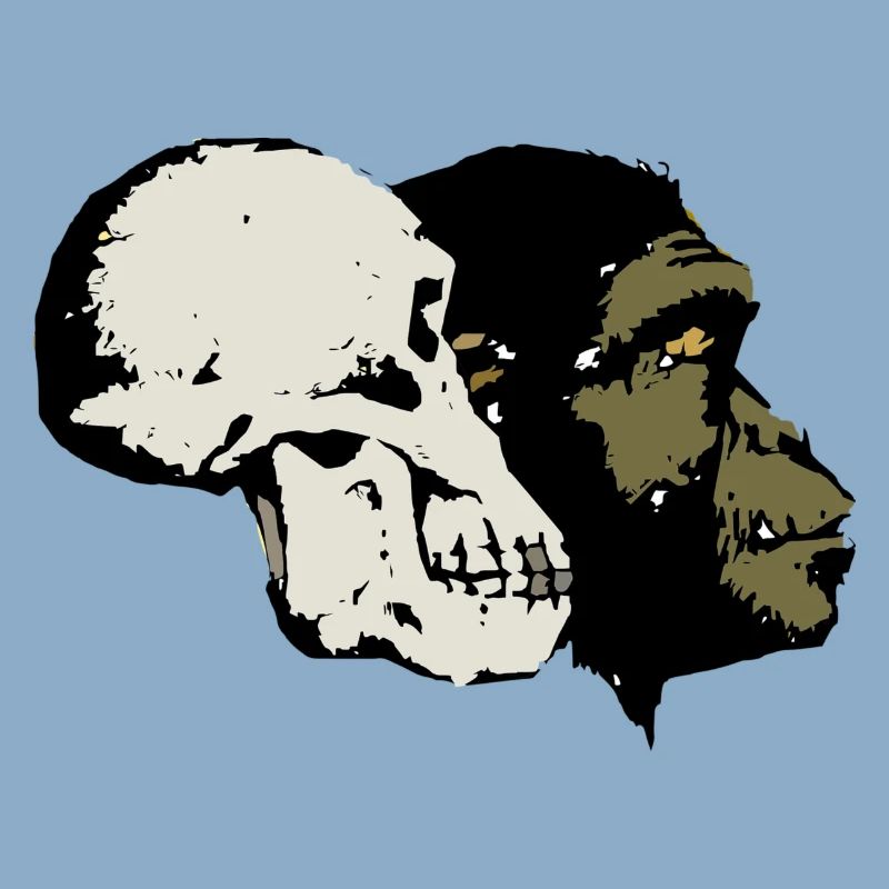 Evolution