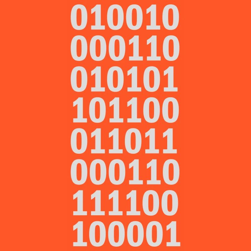 Binary Code Program Language