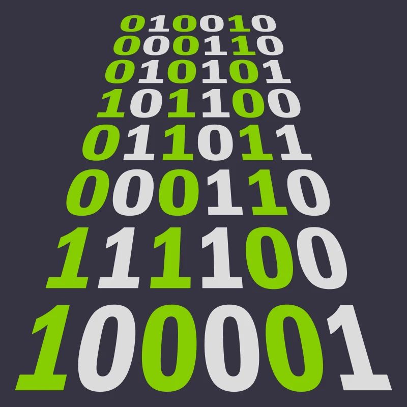 Binary Code Program Language