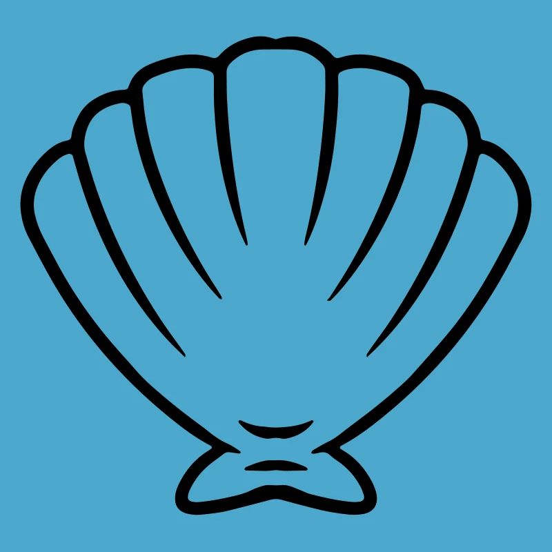 mer coquillage sea shell créatures marines idée cadeau
