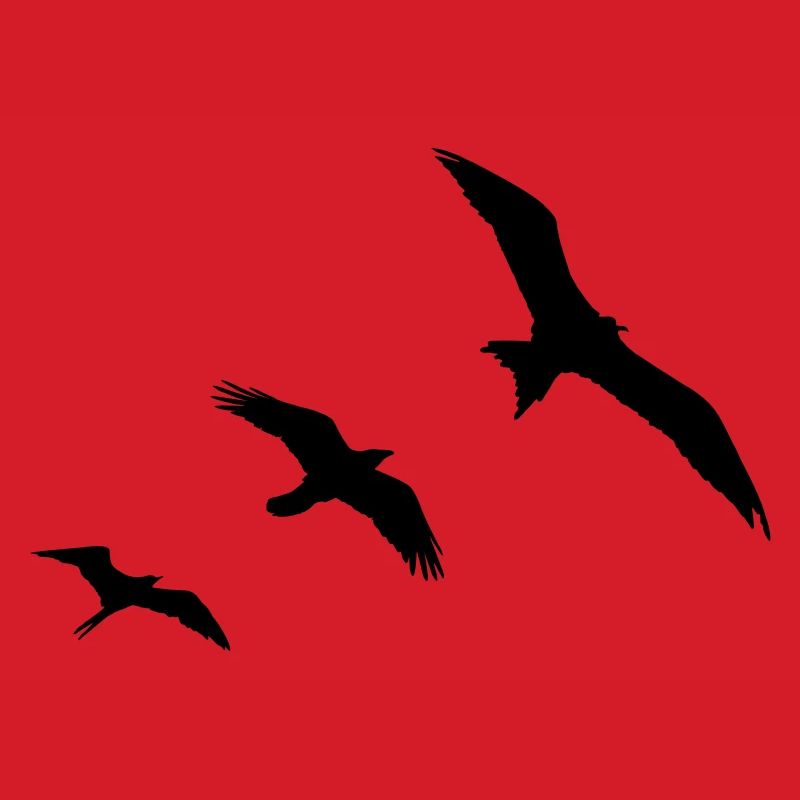 Birds - oiseaux