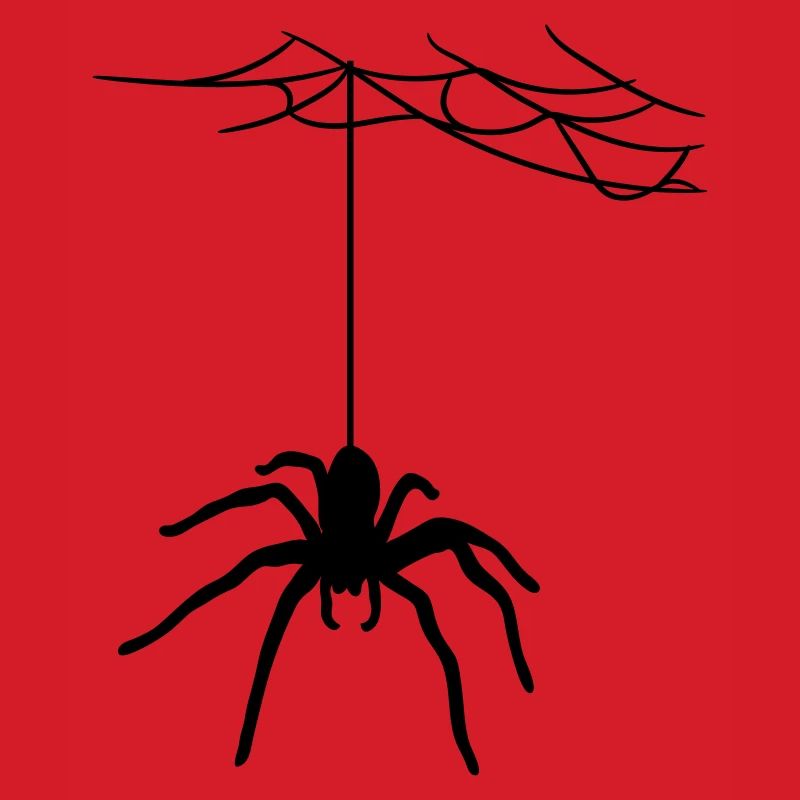 bland cobweb spider cobwebs large