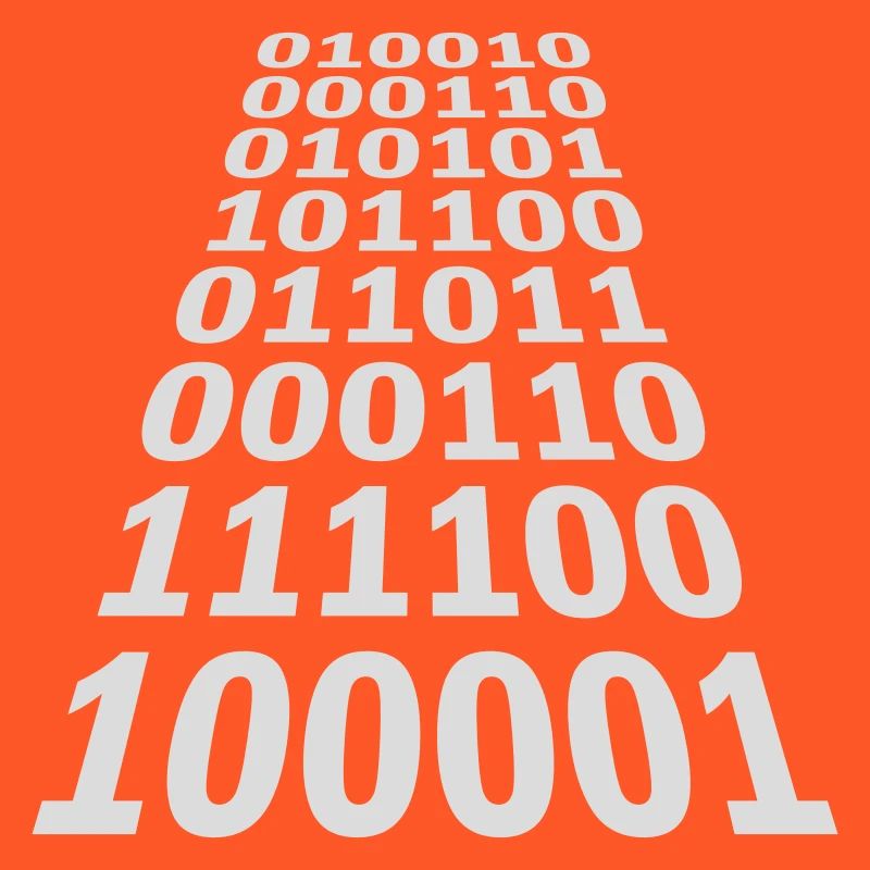 Langage de programme de code binaire