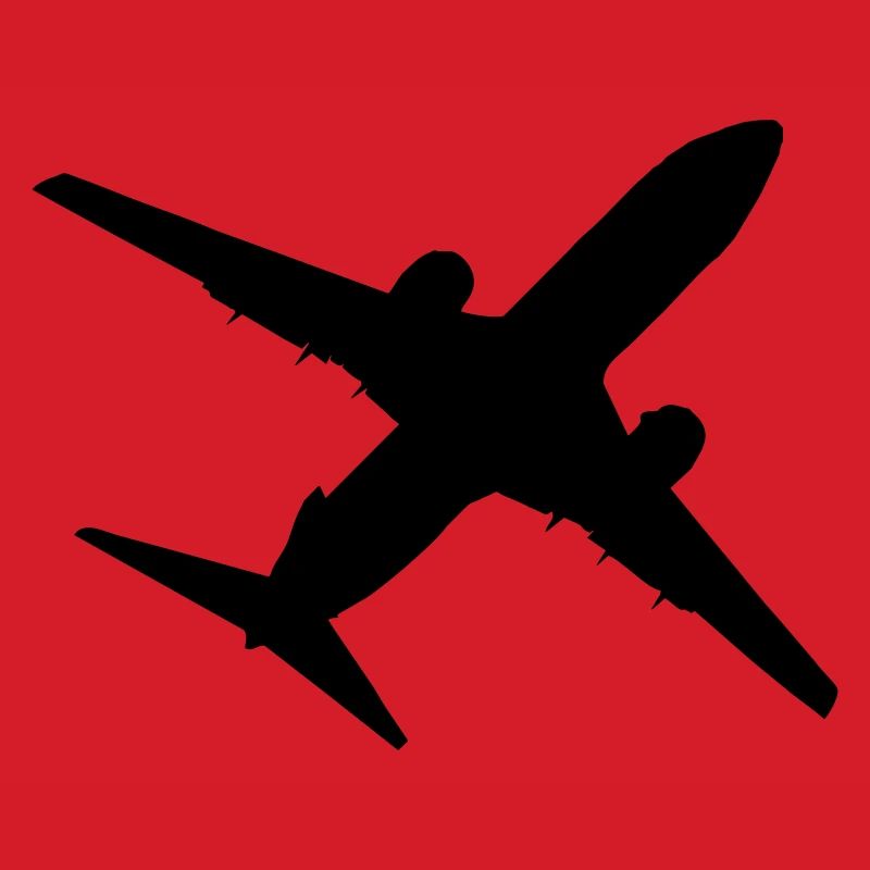 Flugzeug