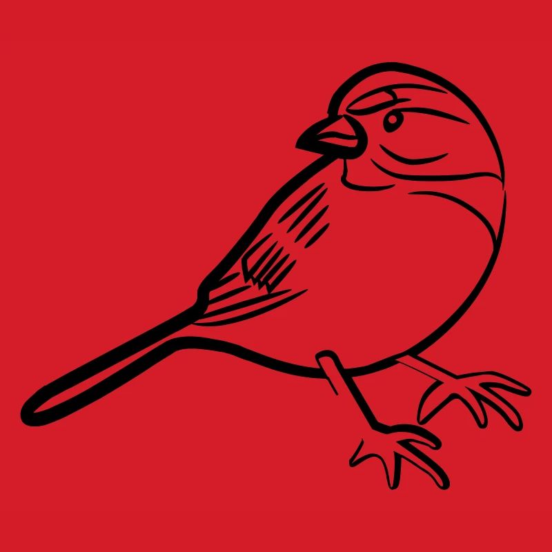 Spatz-Illustration
