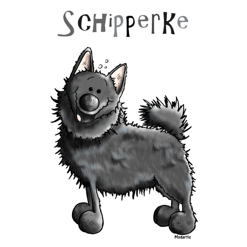 Funny Schipperke - Dog - Spitzke