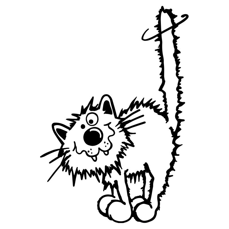 Liebe Katze
