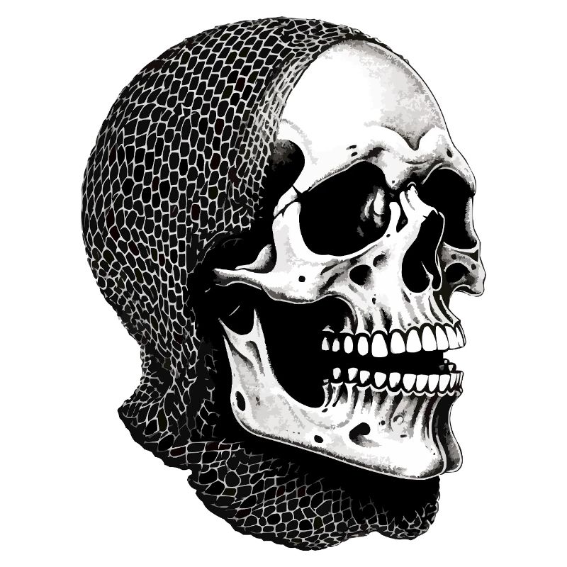 Skull in a net scarf