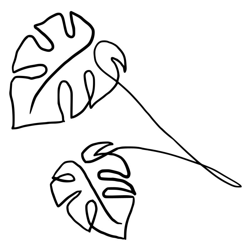 Monstera