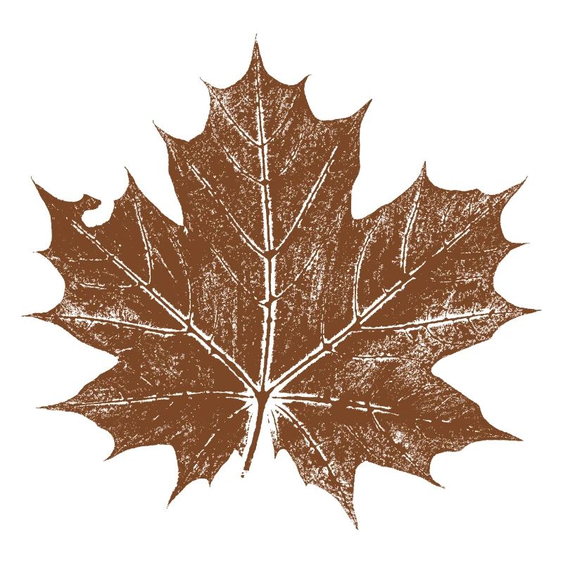maple leaf