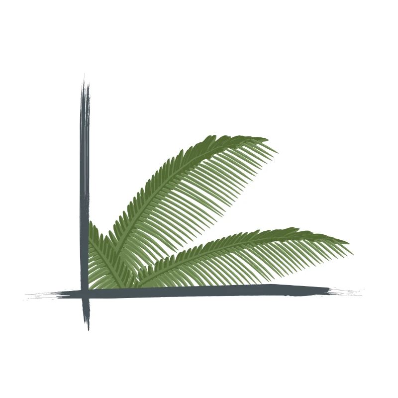 Feuilles de palmier encadrées dans des cadres de brosse