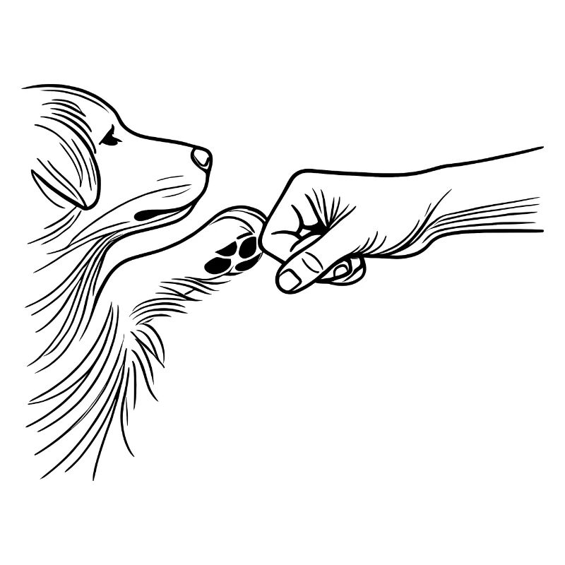 Hund und Mensch Bindung Fauststoß Bester Freund