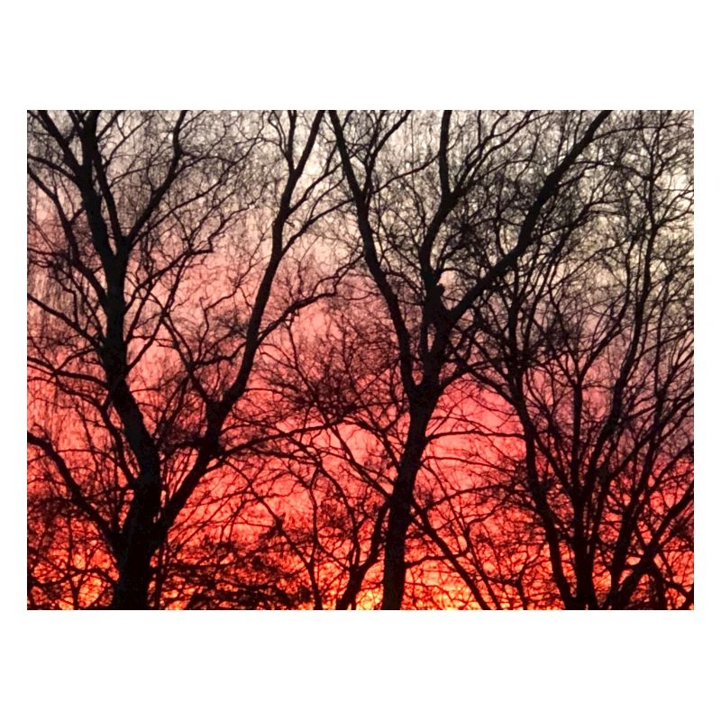 Abendrot_1