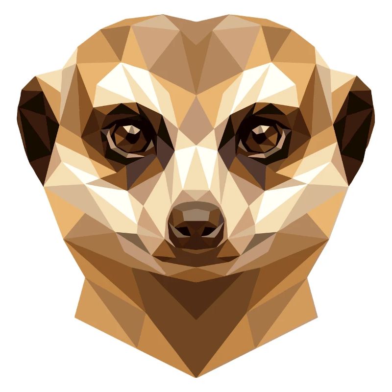 Suricate Suricate Douce Mangouste Suricate