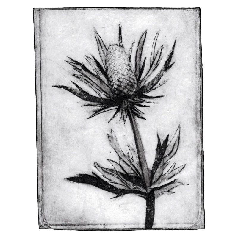 Thistle - hand carved artwork