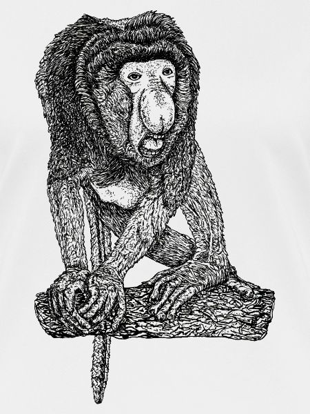 Singe Proboscis