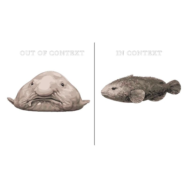 Blobfish Out Of Context vs In Context Comparison