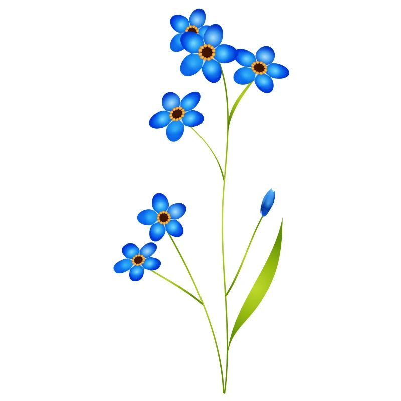 delicate forget-me-not in classic blue