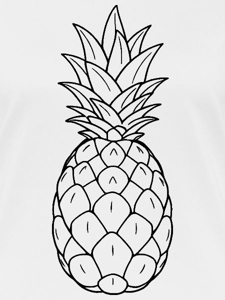 Minimalistic Pineapple