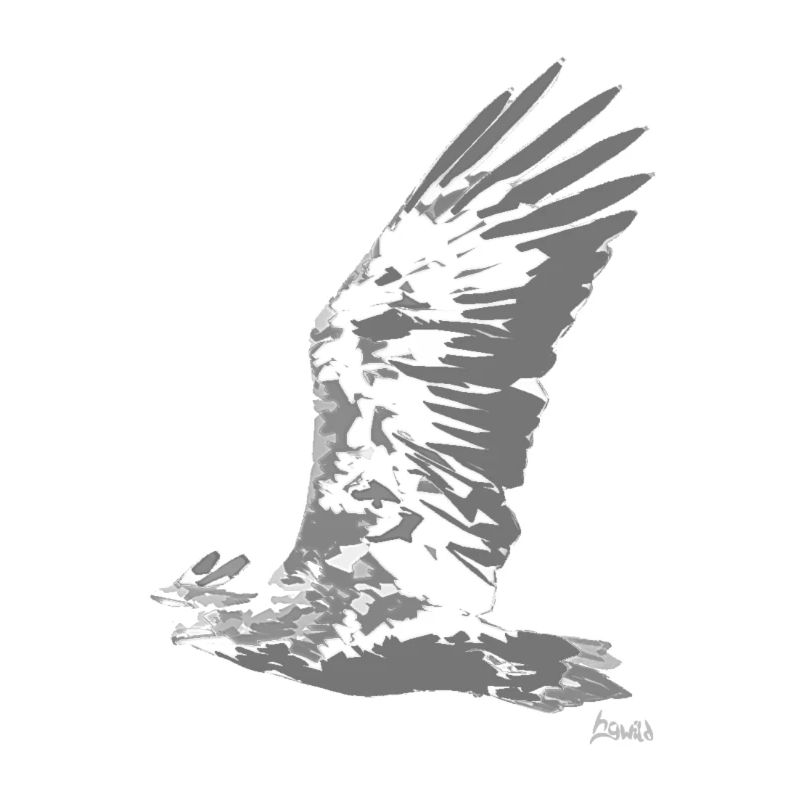 HGWild - White-tailed Eagle