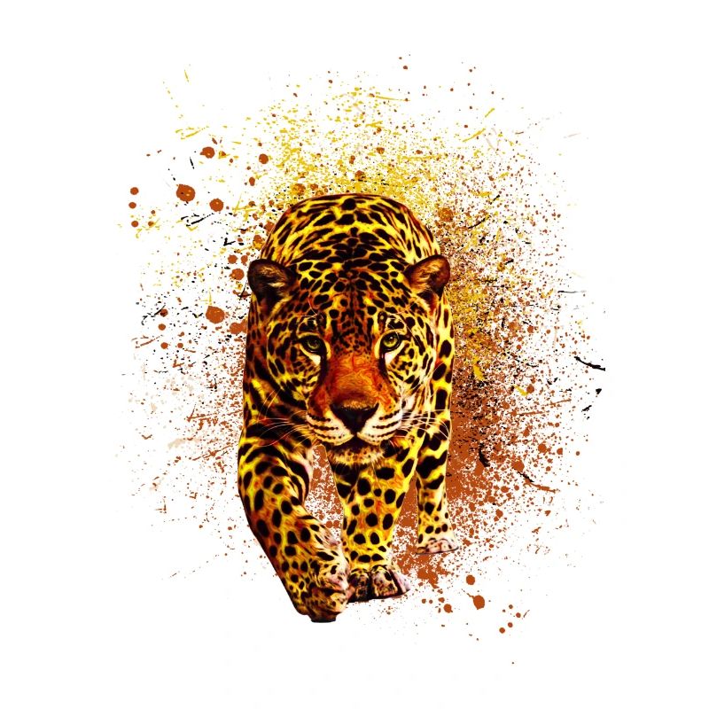leopard