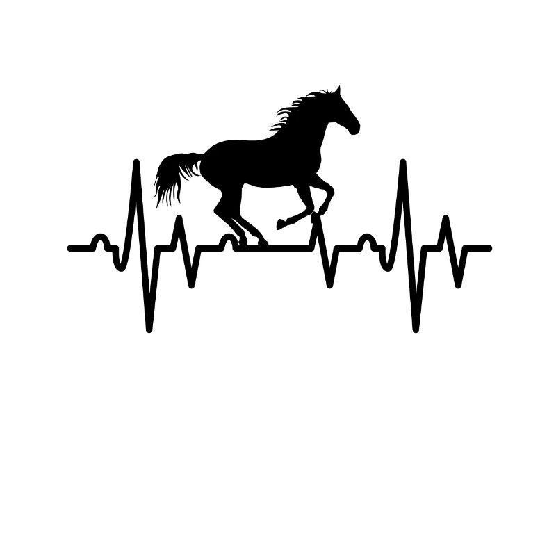 Équitation