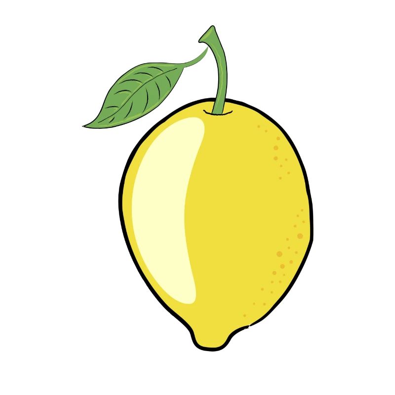 Lemon lime fruit from the lemon tree