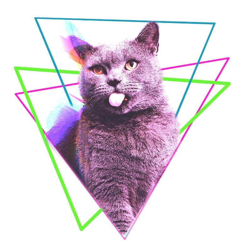 cool cat design with geometric shapes