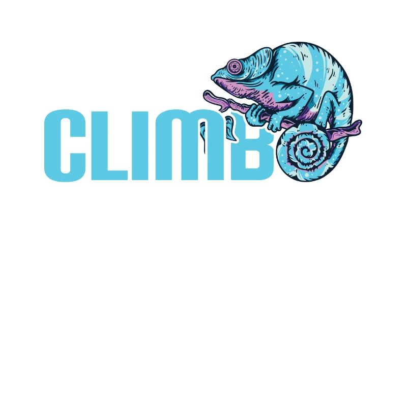 Bouldering, climbing Free climbing Climbing Hall